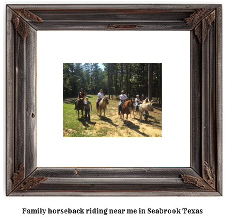 family horseback riding near me in Seabrook, Texas